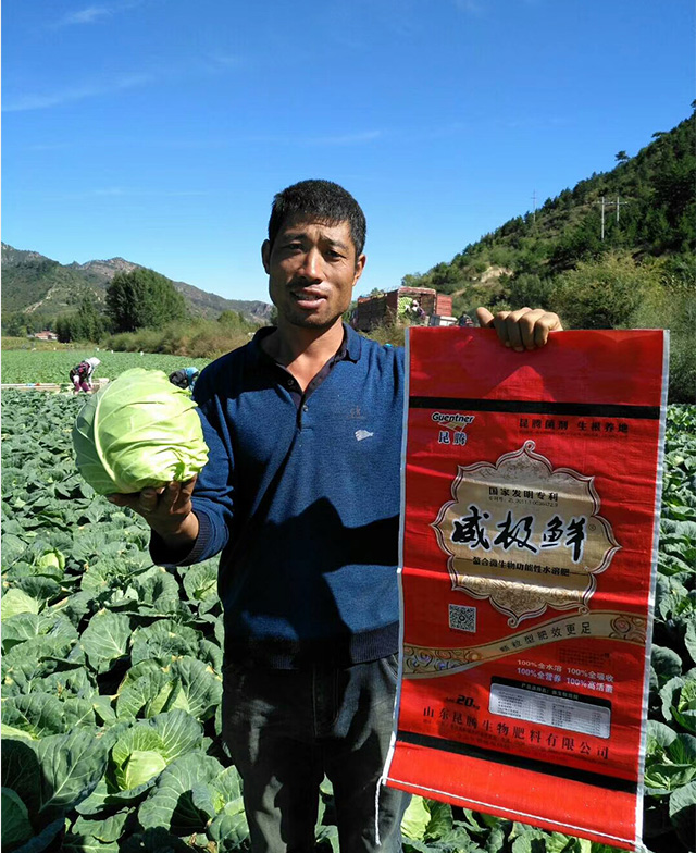 威极鲜一号种植户反馈