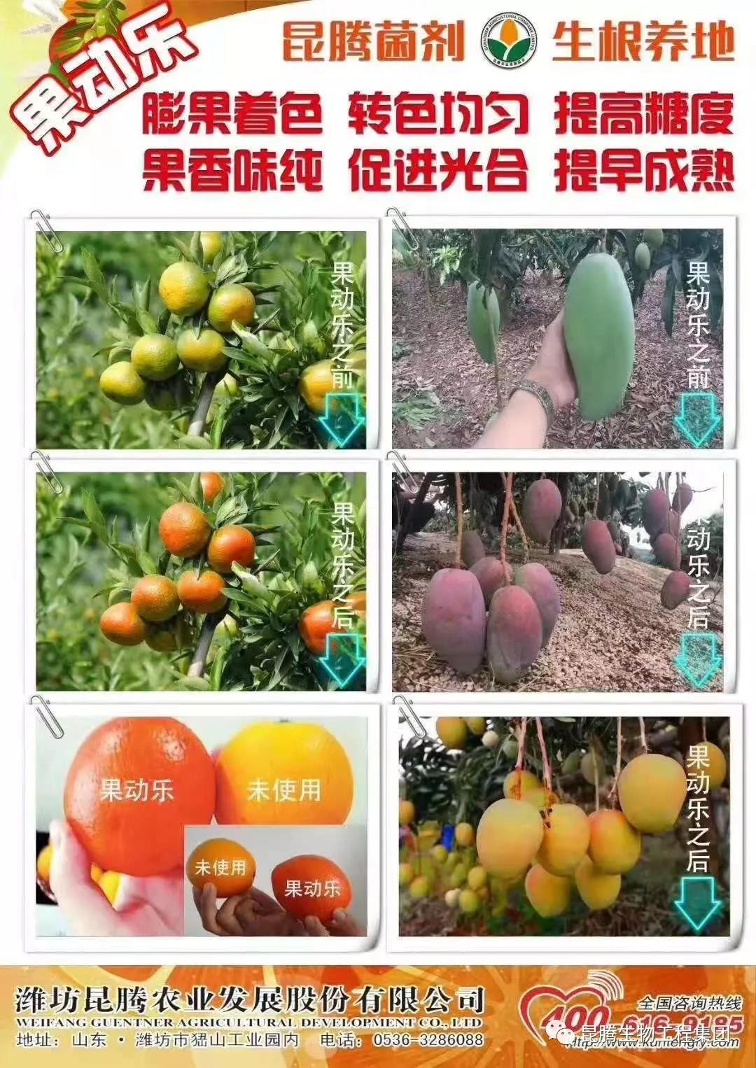 复合微生物菌剂功能性液体肥料专治线虫提质增产